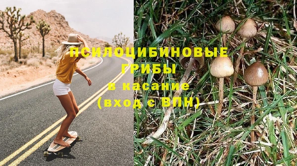 бошки Михайлов