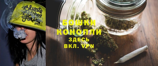 крисы Надым