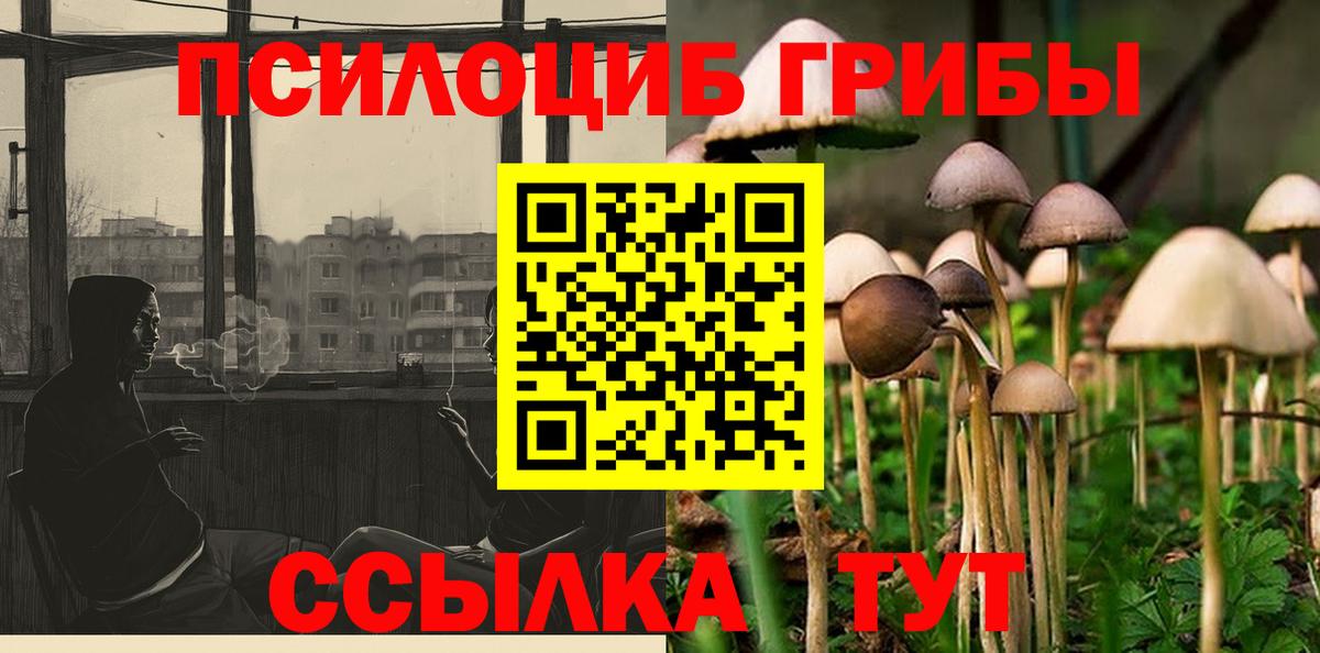 Морозовск  Галлюциногенные грибы прущие грибы  Вход с VPN 
