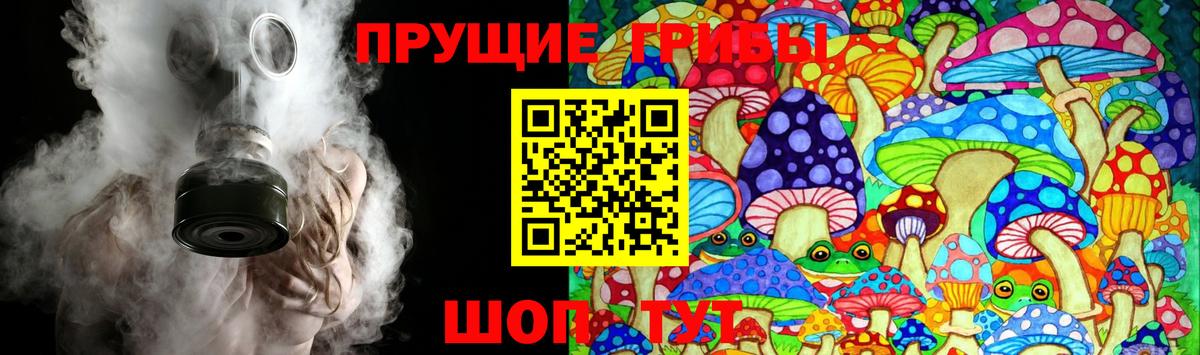 Псилоцибиновые грибы Psilocybe  Морозовск 