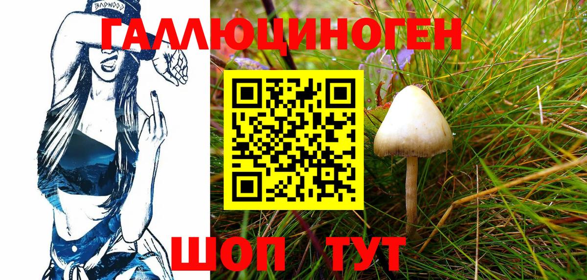 Галлюциногенные грибы Magic Shrooms Морозовск